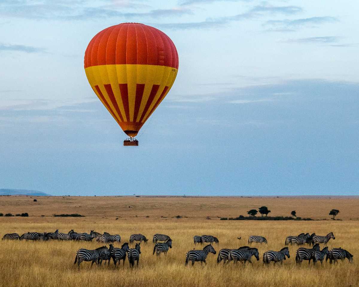 hot air balloon